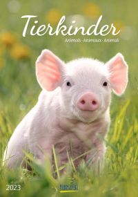 Fotokalender Tierkinder als Werbeartikel
