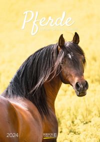 Fotokalender Pferde als Werbeartikel