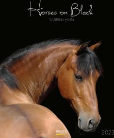 Tierkalender Horses on Black als Werbeartikel