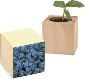 Pflanz-Holz Graspapier - Samen nach Wahl - inkl. Werbedruck + 1 Seite gelasert als Werbeartikel
