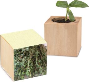 Pflanz-Holz Graspapier - Samen nach Wahl - inkl. Werbedruck + 2 Seiten gelasert als Werbeartikel