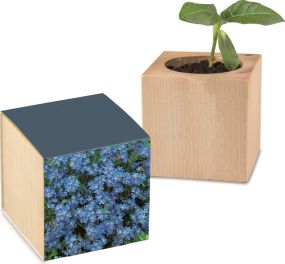 Pflanz-Holz Standardpapier - Samen nach Wahl - inkl. Werbedruck + 2 Seiten gelasert als Werbeartikel