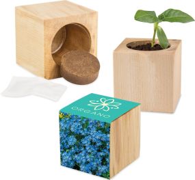Pflanz-Holz Maxi - Samen nach Wahl - inkl. Werbedruck als Werbeartikel