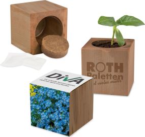 Pflanz-Holz Erle Standardpapier - Samen nach Wahl - inkl. Werbedruck + 1 Seite gelasert als Werbeartikel