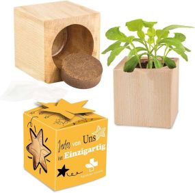 Pflanz-Holz Star-Box Glücksklee als Werbeartikel