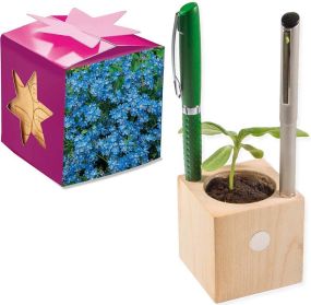Pflanz-Holz Büro Star-Box - Samen nach Wahl - inkl. Werbedruck als Werbeartikel