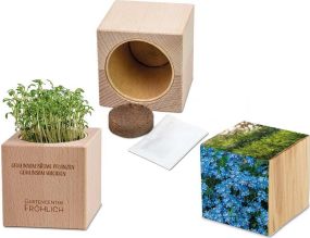 Pflanz-Holz Grande - Samen nach Wahl - inkl. Werbedruck als Werbeartikel