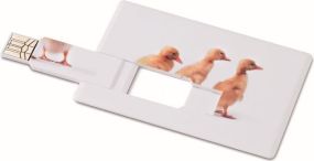 Creditcard 2.0 USB Stick