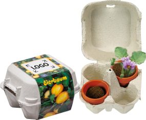 Eierbaum-Box als Werbeartikel