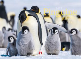 Kalender Pinguine 2021 als Werbeartikel