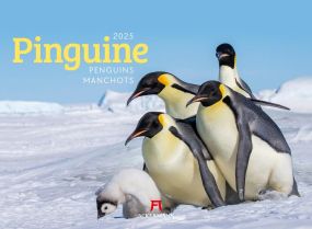 Kalender Pinguine 2023 als Werbeartikel