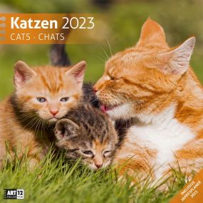 Kalender Katzen 2021 als Werbeartikel
