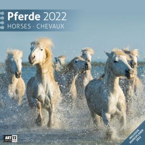 Kalender Pferde 2021 als Werbeartikel