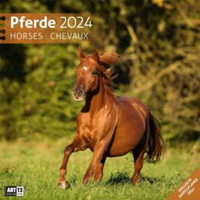 Kalender Pferde 2023, 30x30 cm als Werbeartikel