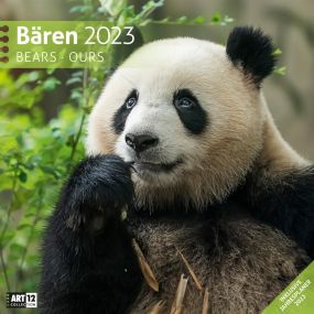Kalender Bären 2023, 30x30 cm als Werbeartikel