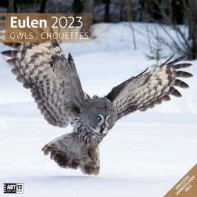 Kalender Eulen 2023, 30x30 cm als Werbeartikel