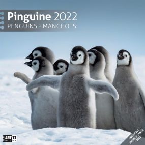 Kalender Pinguine 2021 als Werbeartikel