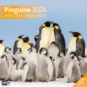 Kalender Pinguine 2023, 30x30 cm als Werbeartikel