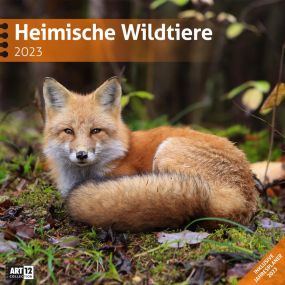 Kalender Heimische Wildtiere 2023, 30x30 cm als Werbeartikel