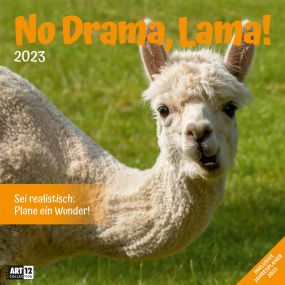 Kalender No Drama, Lama! 2023, 30x30 cm als Werbeartikel