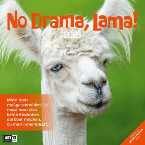 Kalender No Drama, Lama! 2023, 30x30 cm als Werbeartikel
