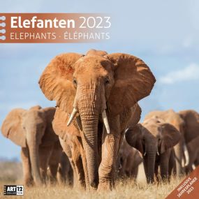 Kalender Elefanten 2021 als Werbeartikel