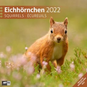 Kalender Eichhörnchen 2021 als Werbeartikel
