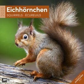 Kalender Eichhörnchen 2023, 30x30 cm als Werbeartikel