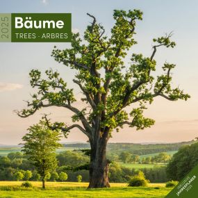 Kalender Bäume 2023, 30x30 cm als Werbeartikel