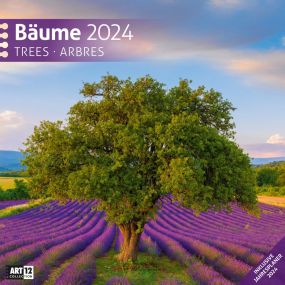 Kalender Bäume 2023, 30x30 cm als Werbeartikel