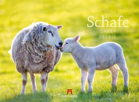 Kalender Schafe 2023 als Werbeartikel