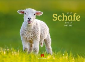 Kalender Schafe 2023 als Werbeartikel
