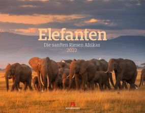 Kalender Elefanten 2021 als Werbeartikel