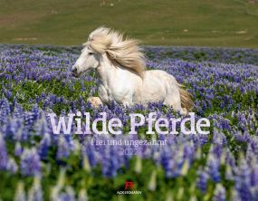Kalender Wilde Pferde 2021 als Werbeartikel