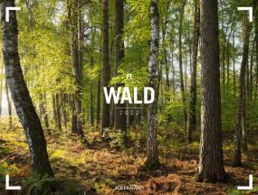 Kalender Wald - Gallery 2021 als Werbeartikel