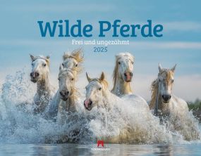 Kalender Wilde Pferde 2023 als Werbeartikel