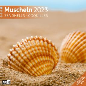 Kalender Muscheln 2023, 30x30 cm als Werbeartikel