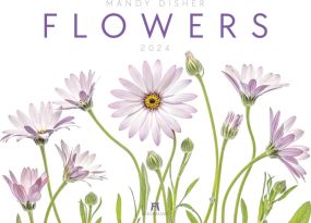 Kalender Flowers – Mandy Disher 2024 als Werbeartikel