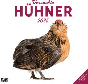 Kalender Verrückte Hühner 2024 - 30x30 als Werbeartikel