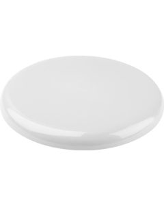 Frisbee Smooth Fly