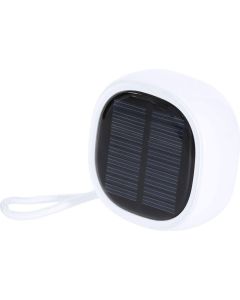 RABS Funklautsprecher Colep