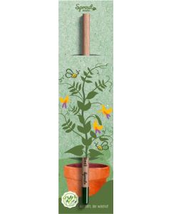 SPROUT Samenfarbstift mit großem Ansteckkärtchen