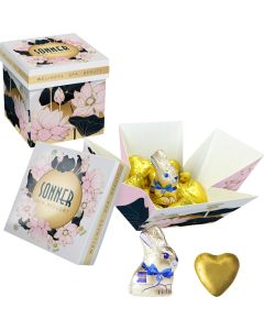 Meeting Star Gubor Schokoladenherzen + 1 Gubor Osterhase