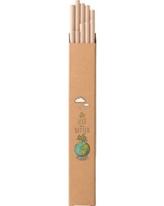 Strohhalm-Set aus Kraftpapier Lamone