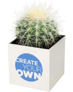 Hey Pots Blumentopf aus Aluminium, Kaktus