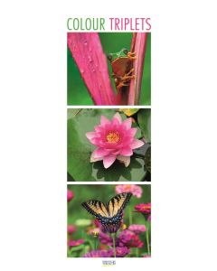 Korsch Kalender Colour Triplets
