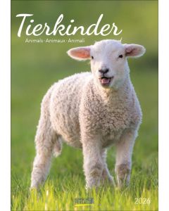 Korsch Kalender Tierkinder