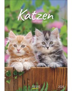 Korsch Kalender Katzen