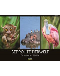 Korsch Kalender Bedrohte Tierwelt