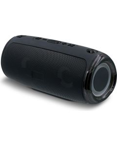 Large speaker mit shoulder strap 20W